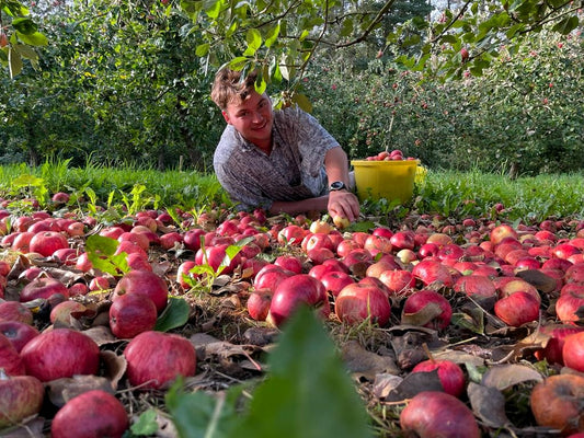 THE HOME OF MODERN CIDER